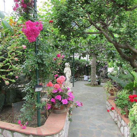 B&B Palazzo A Mare กาปรี ภายนอก รูปภาพ