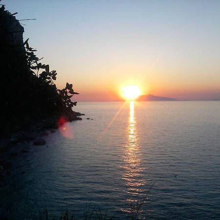 B&B Palazzo A Mare กาปรี ภายนอก รูปภาพ