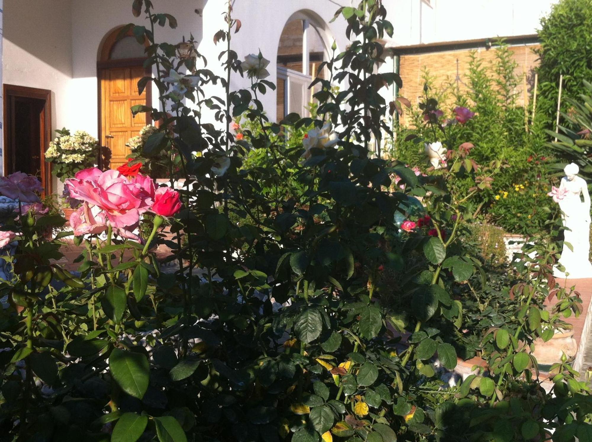 B&B Palazzo A Mare กาปรี ภายนอก รูปภาพ