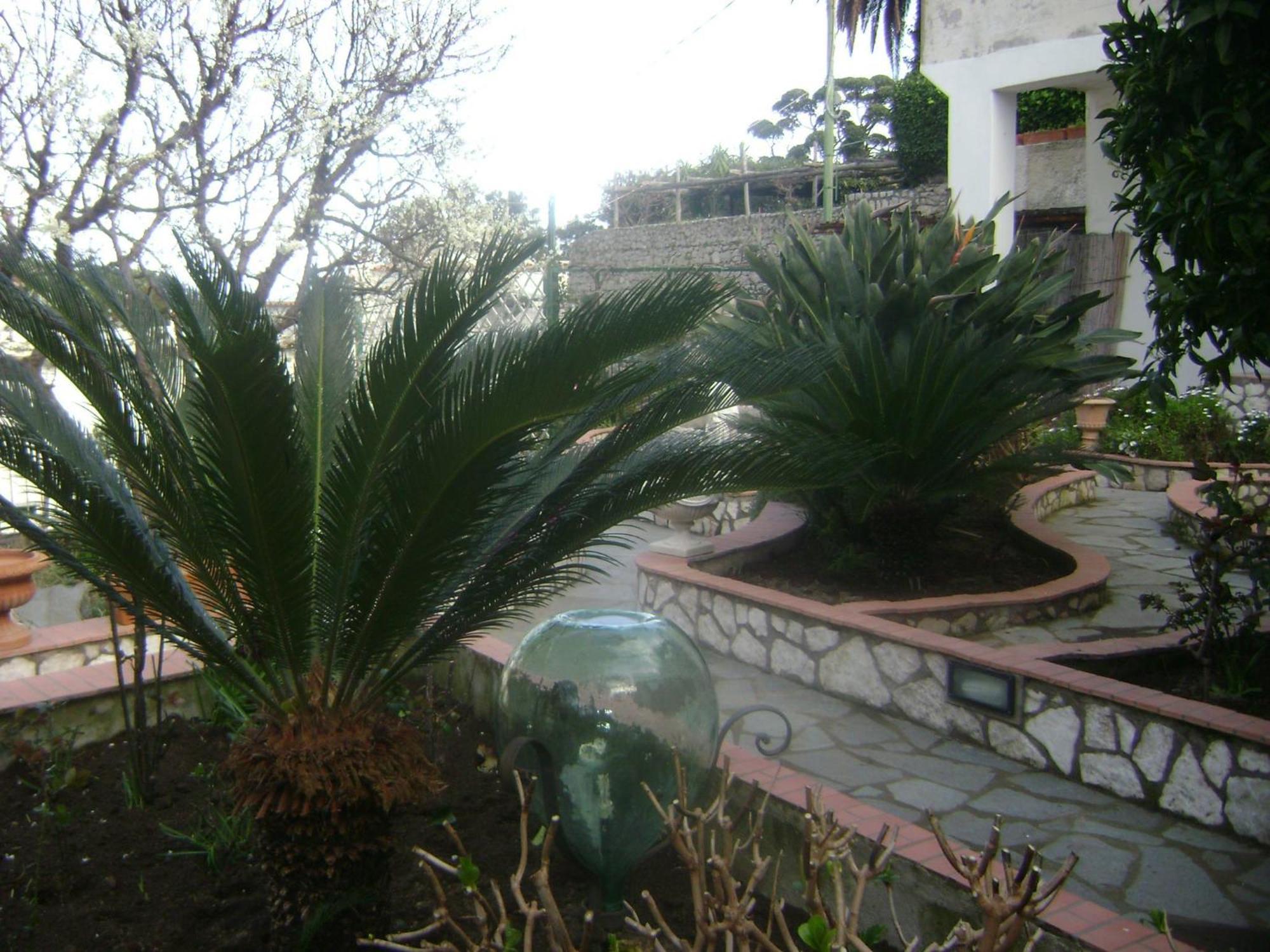 B&B Palazzo A Mare กาปรี ภายนอก รูปภาพ