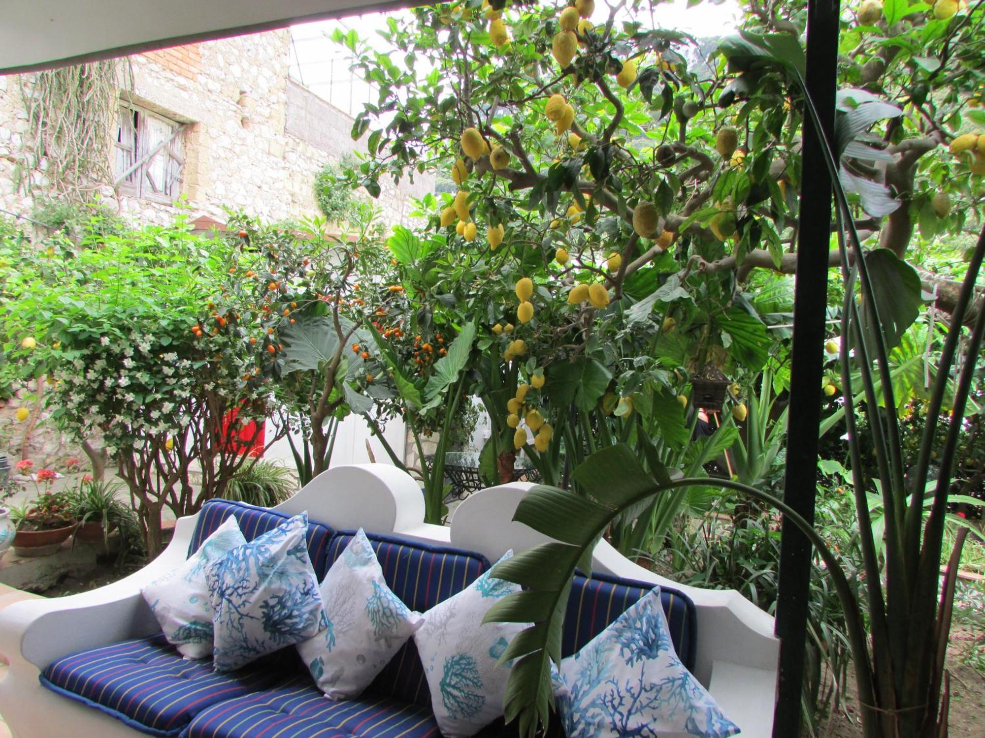 B&B Palazzo A Mare กาปรี ภายนอก รูปภาพ
