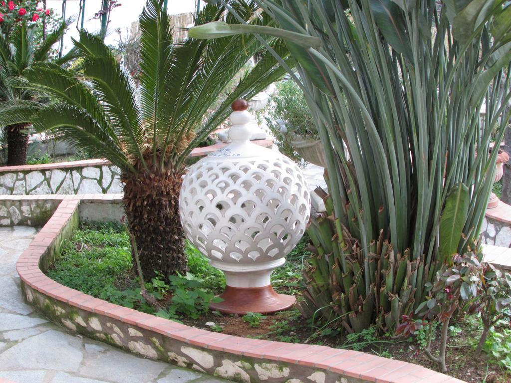 B&B Palazzo A Mare กาปรี ภายนอก รูปภาพ