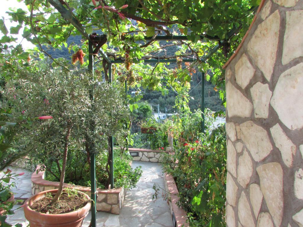 B&B Palazzo A Mare กาปรี ภายนอก รูปภาพ