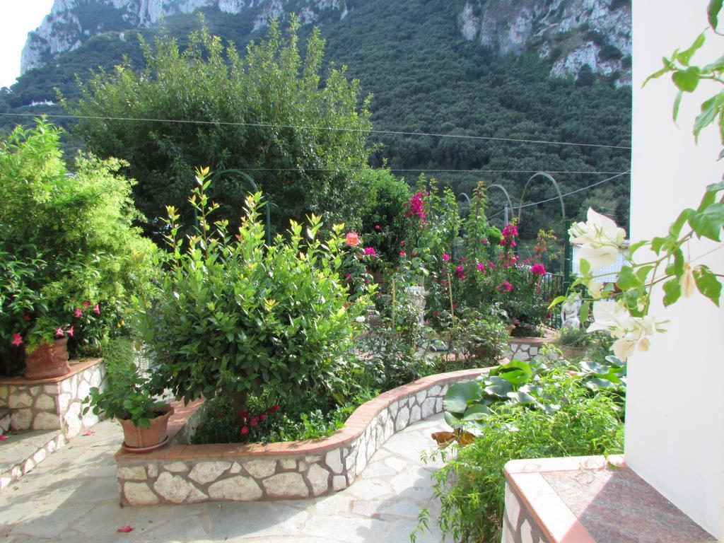 B&B Palazzo A Mare กาปรี ภายนอก รูปภาพ