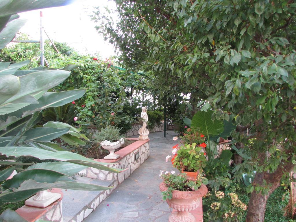 B&B Palazzo A Mare กาปรี ภายนอก รูปภาพ