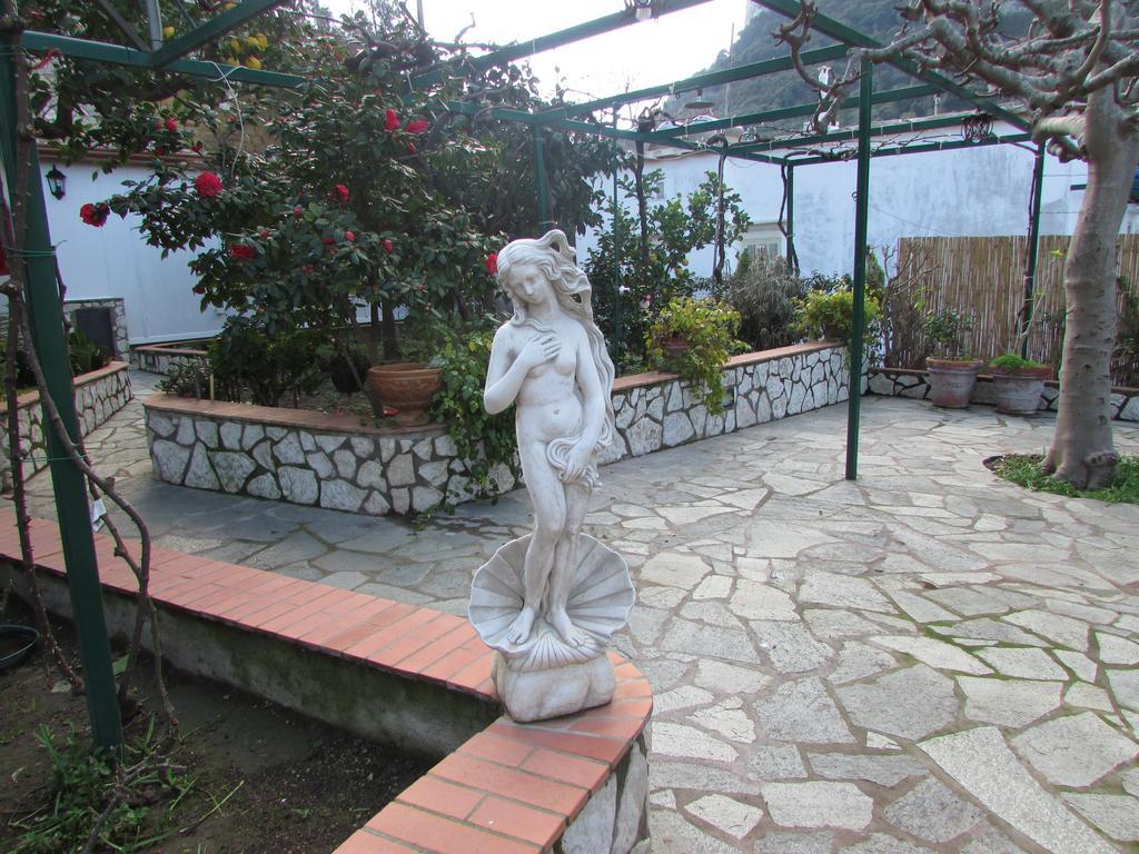 B&B Palazzo A Mare กาปรี ภายนอก รูปภาพ