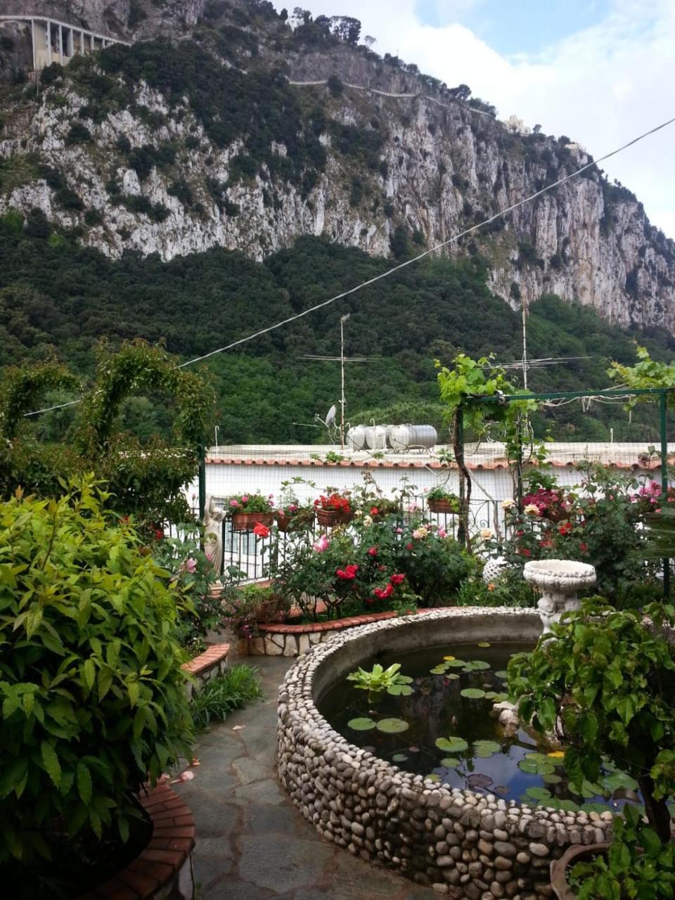 B&B Palazzo A Mare กาปรี ภายนอก รูปภาพ