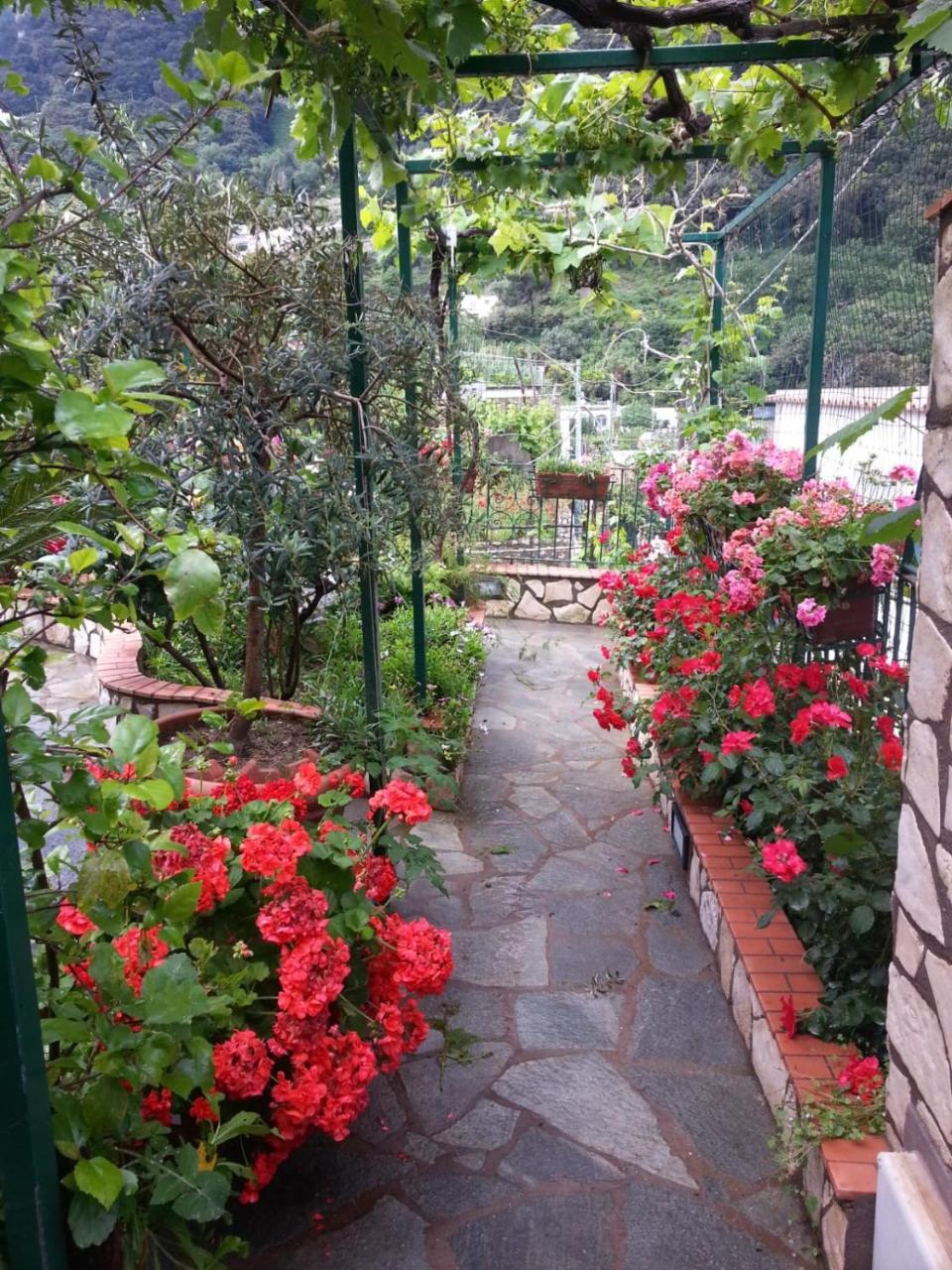 B&B Palazzo A Mare กาปรี ภายนอก รูปภาพ