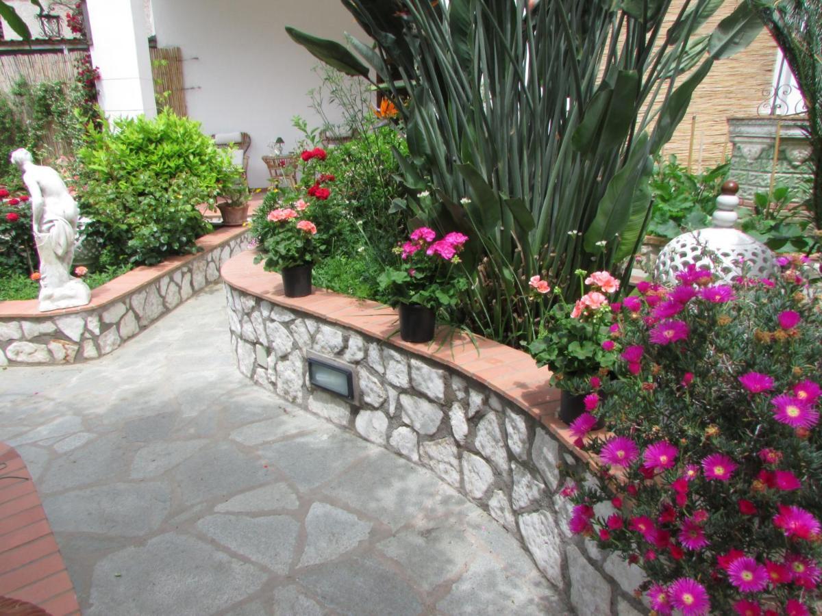 B&B Palazzo A Mare กาปรี ภายนอก รูปภาพ