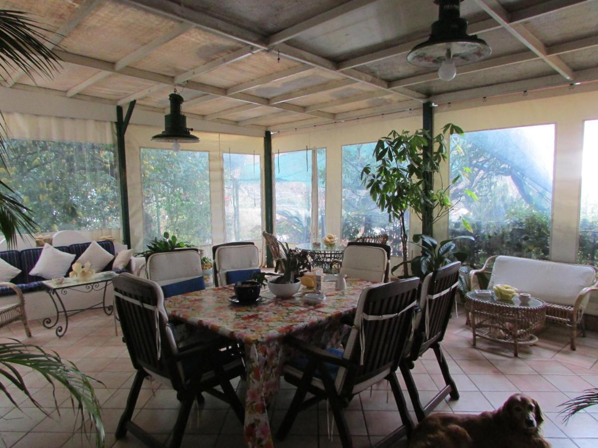 B&B Palazzo A Mare กาปรี ภายนอก รูปภาพ